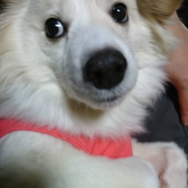 477113fd ba40 42f1 b5d1 e742924a34fe 1520714053831