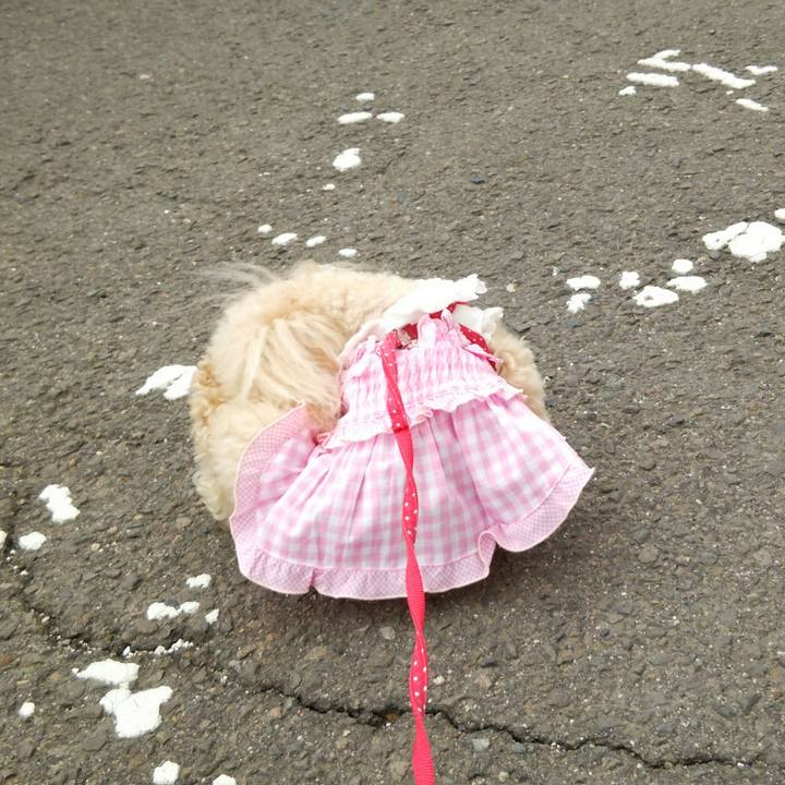 4771183b 885d 40a2 9e41 c53e9823d91d 1522064669972