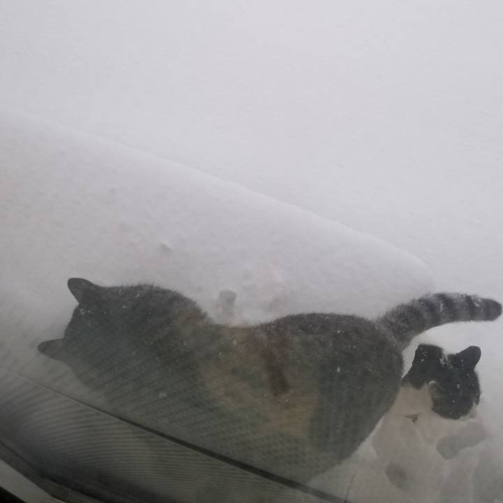 477135a2 a8ce 4eed ade2 90331410319d 1641947217132