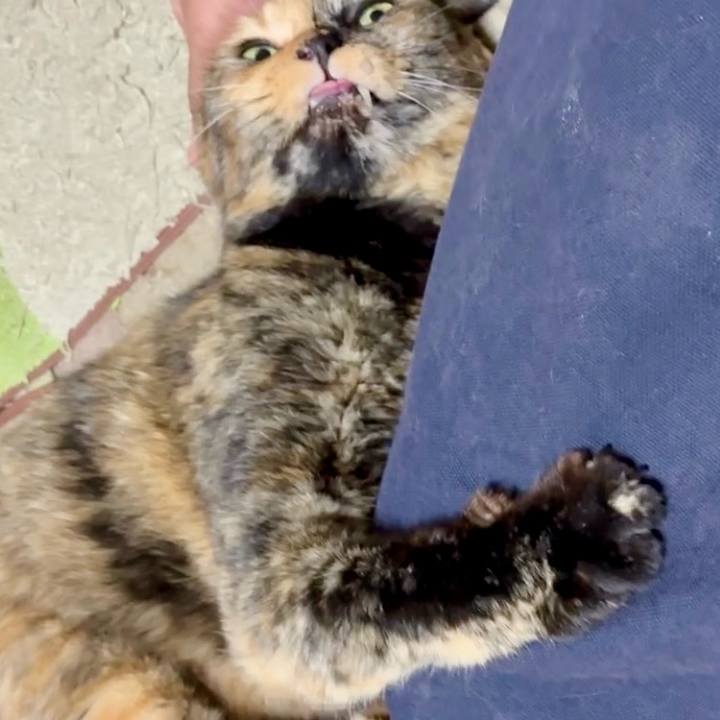 47714158 63bb 418b b035 05bca3659dec 1757019194665