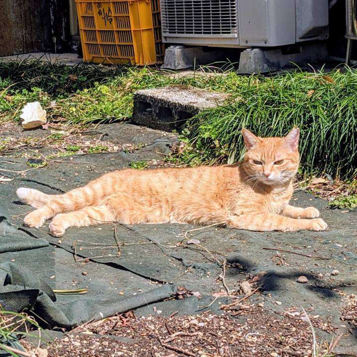 477156d4 30db 4890 9cf7 8b011b4ba4c3 1773219709113