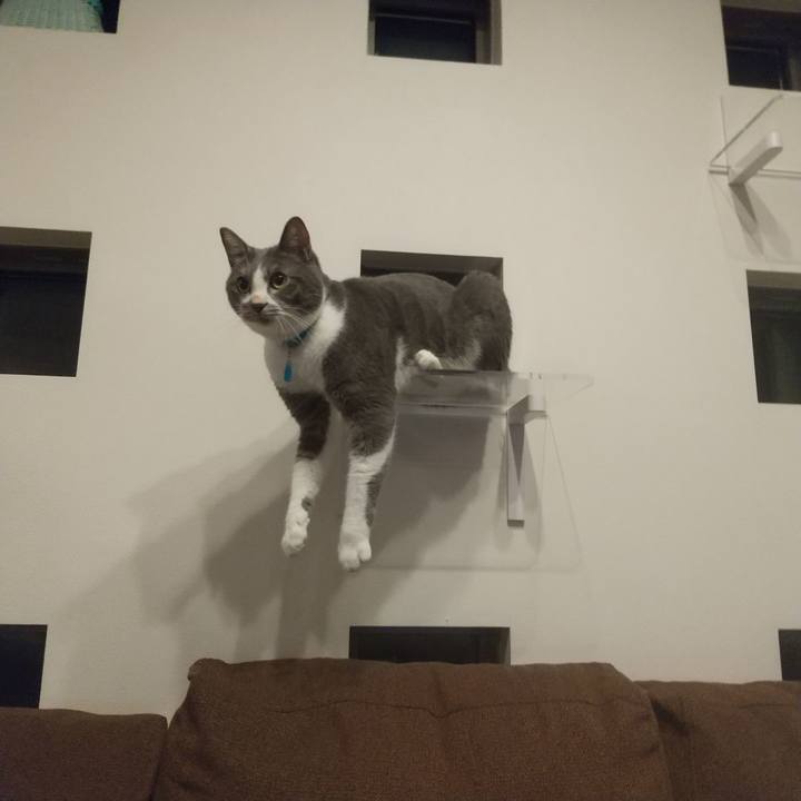 477178f6 7431 4d3d a27e 502e92281f58 1631446595014