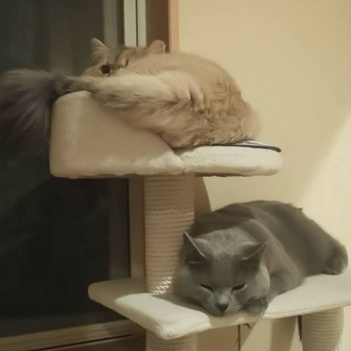 47717e5b b5d3 411c 8c20 49c2f44e8f93 1569731727326