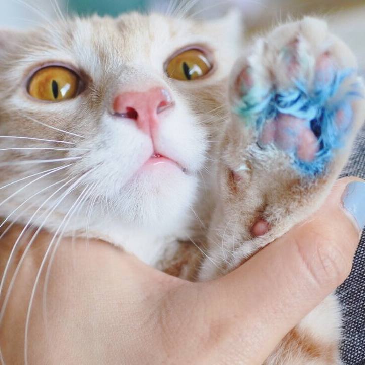 47719f96 b297 40ae 8dd7 076d776a6013 1558494659014