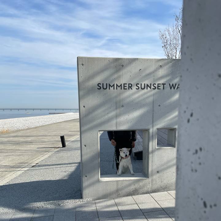 4771c868 3b0e 42fb ba9c 5f6742d0f8dc 1644744921336