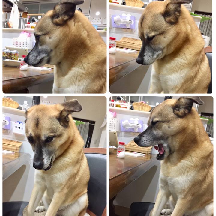 4771d3a0 8f73 4d3d b64b bf56533e1ad9 1513171321903