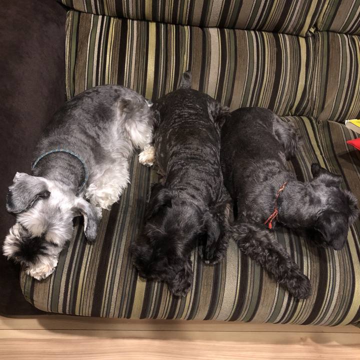 4771efeb 42ed 4c37 8a00 c3669cb963e7 1568903657659