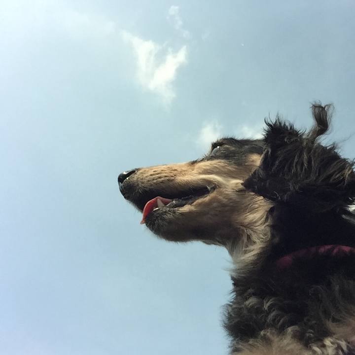 47720fd6 4c0d 48ad bd05 579f645e8a2e 1529971468138