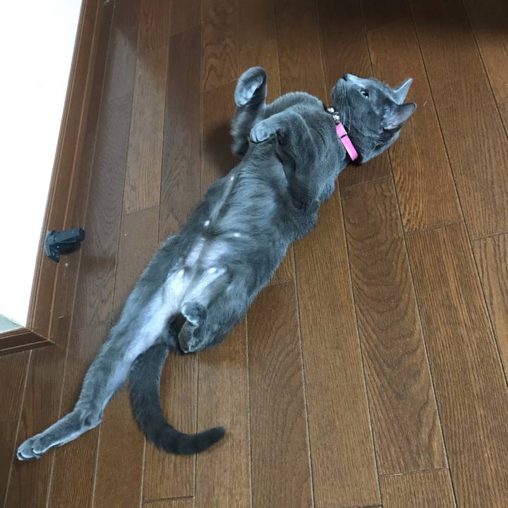 47725d93 8ac6 426f ae07 997e3f03b8b3 1556494541970