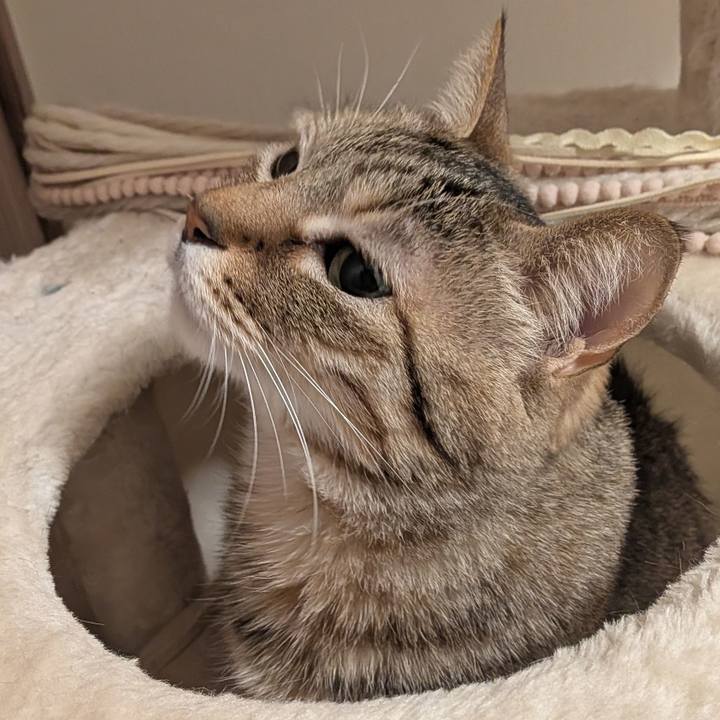 47729fc1 84ea 4f36 b587 8e3eef06d037 1773441349419