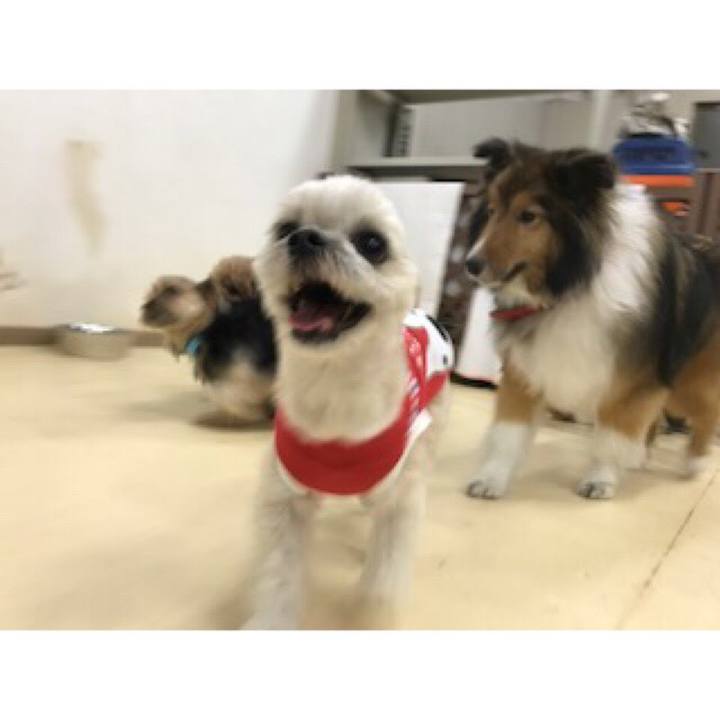 4772b54b 5ab2 4fec 8424 b30d49a3be2f 1550657068419