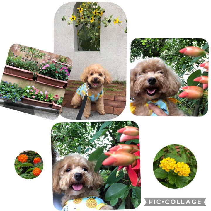 4772cf9e 2a89 4d6a aeb8 815c8283c53b 1660347903546