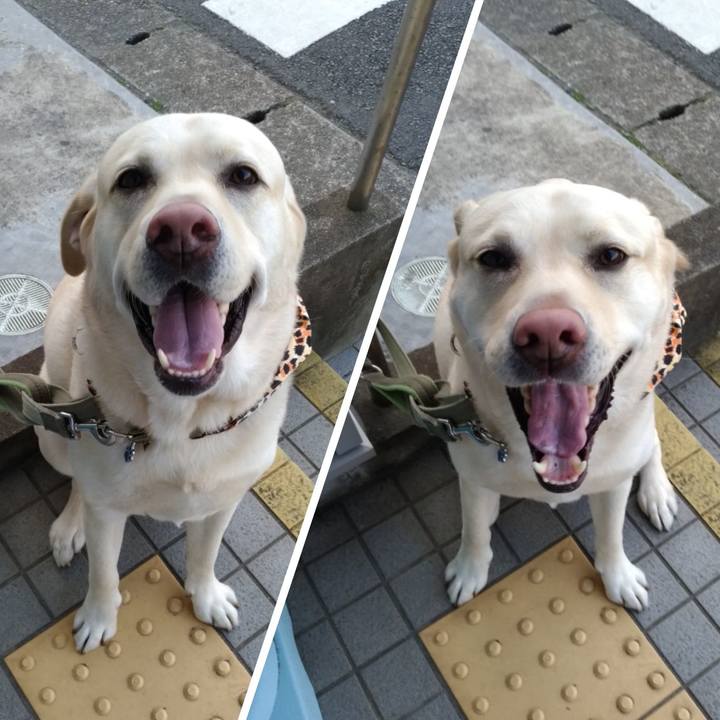 4772f3f5 720a 427f 837c 43a16caaadb2 1581151771338