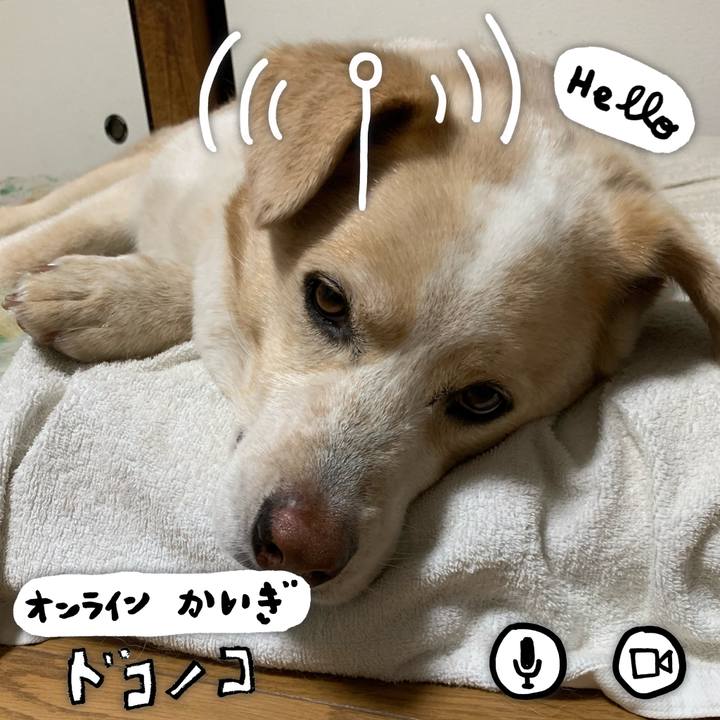 4772f9dc e7fa 4711 9f41 b51e5de69a8d 1592045354245