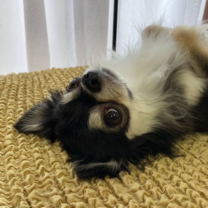 47730073 a019 43d1 8f72 b7e32d77feb5 1656856263156