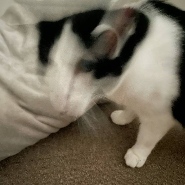 47730084 035f 4d14 b3d8 cb9209ee81fc 1720252995672