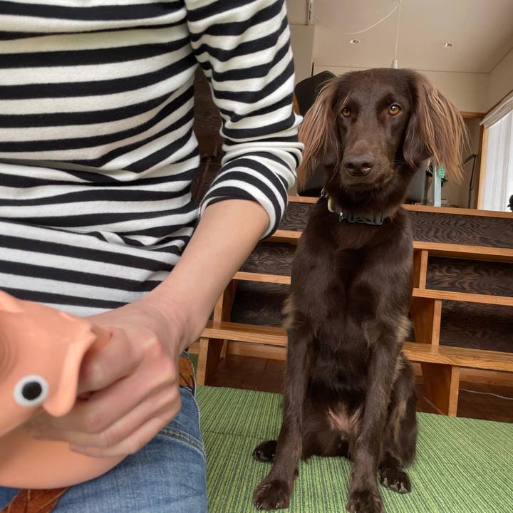 477301bd 57eb 486a 8024 a976b8314ea0 1617589557380