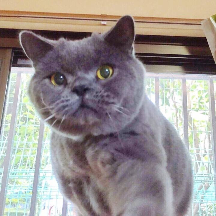 477323e7 f50e 4908 84a9 d3110f9d78c0 1773479597566