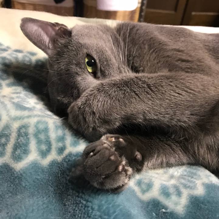 47732c52 fc16 44e6 a88c bf7bc1ececab 1517531420552