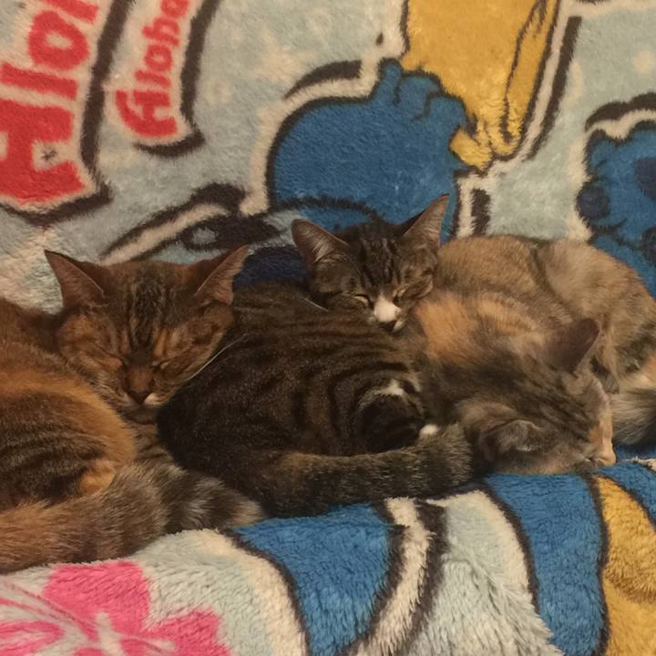 47733671 862b 4ef3 acd0 33ad4684cf69 1571916108098