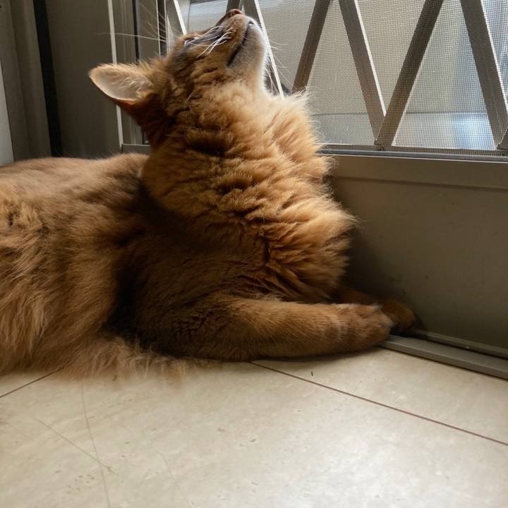 47734712 bba6 4542 a9d7 92729f914b96 1624238064796