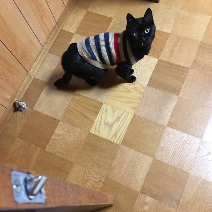 477370e5 da41 47f8 9e61 be5e7898801d 1549360988407