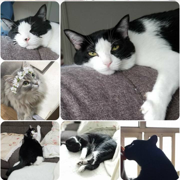 4773752d 1264 4d5e 9344 2ab7d38de0f1 1562918660184