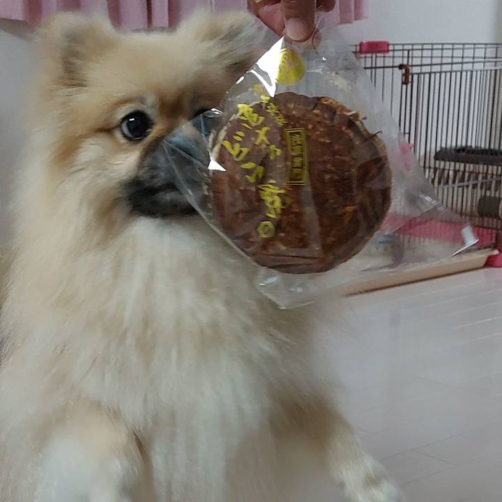 47737b5b d30e 4974 8544 55f56faa7a16 1657193074217