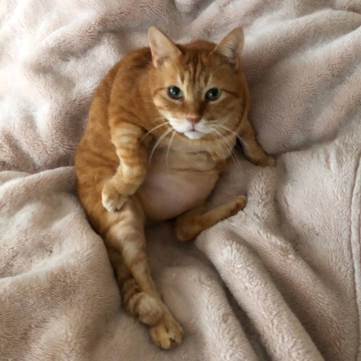 47738746 fc0d 4b56 be3b 7cc7165c63b9 1708609841492