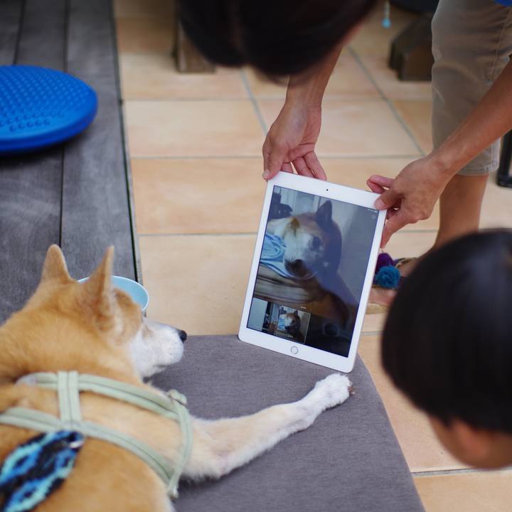 47739c5f 0618 40af 9a6e ac5a33614f95 1600834545064