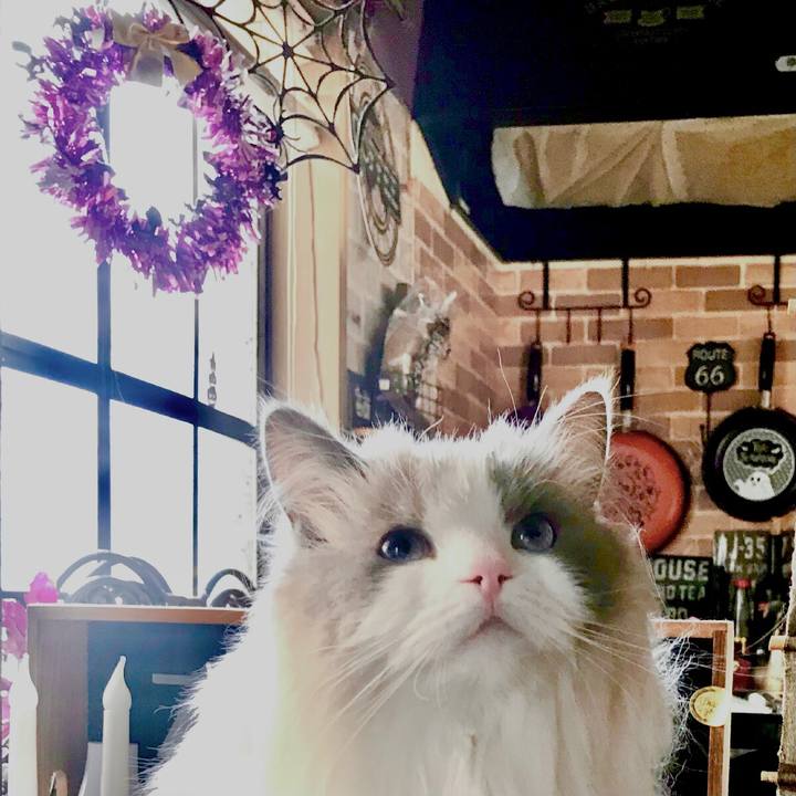 4773a5f3 1b8f 449e 86b4 ea048fcc03be 1618392034455