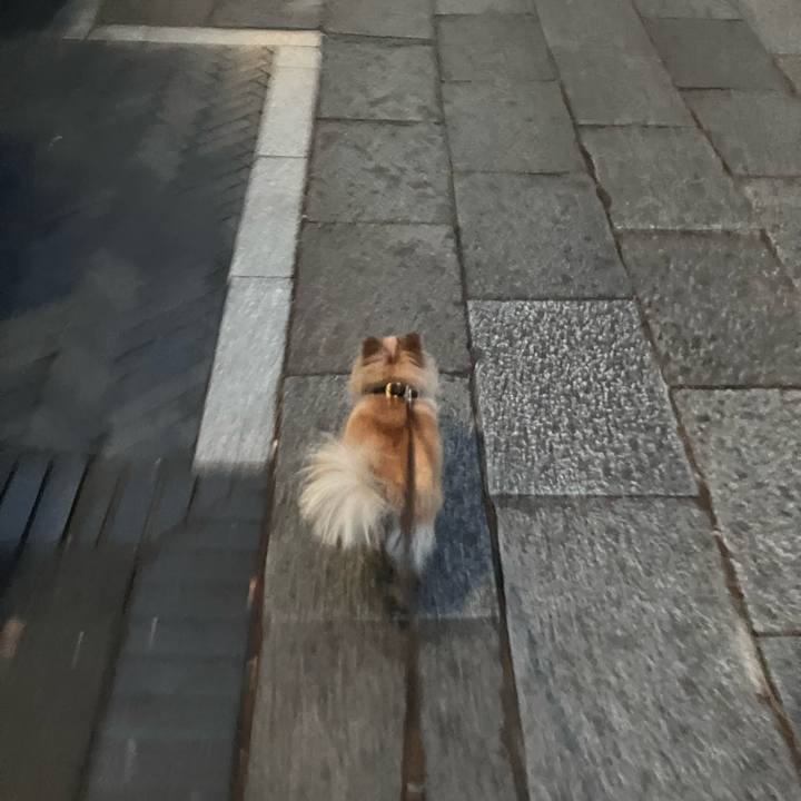 4773b04d 5c24 4858 a5e3 af0276417f42 1771580863529