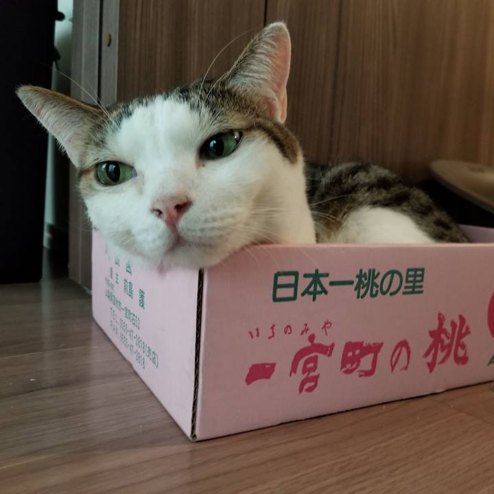 4773c069 297f 4871 a764 c717c5753533 1601329461465