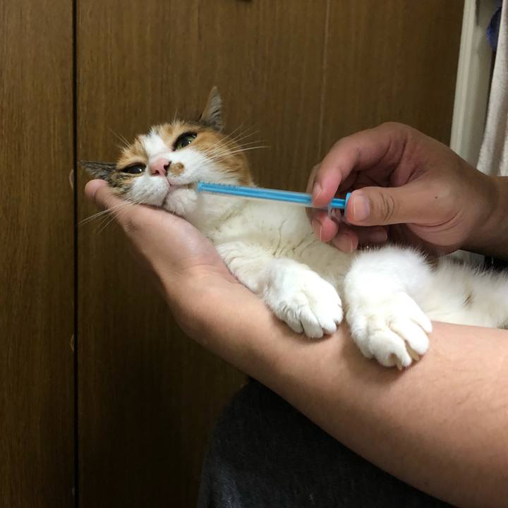 4773fba9 e437 4ba1 a2b3 b53dd7c1ebb1 1574542546155