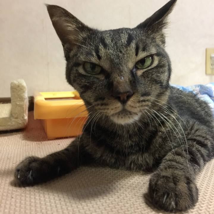 477444da 2c2b 47f6 9fba 655cfb9a78a9 1534676801127