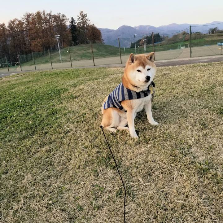 477495ea a474 4bfe 9c62 bca49e6f926e 1637305894920