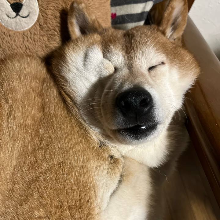 4774bae1 a158 4080 9b26 3d869b5a05f0 1742739418147