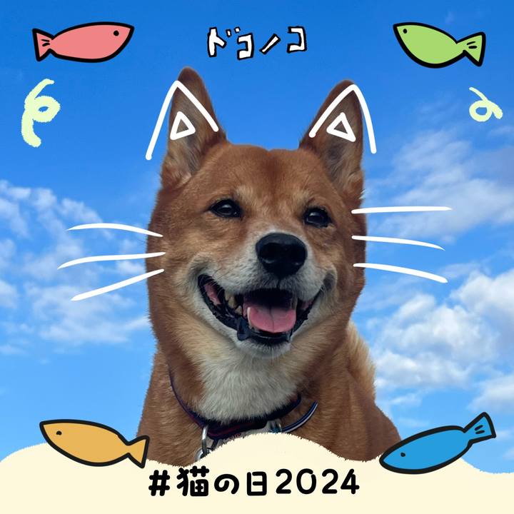 4774d376 a2f8 49bf 8ea3 2057eea66421 1708564327836