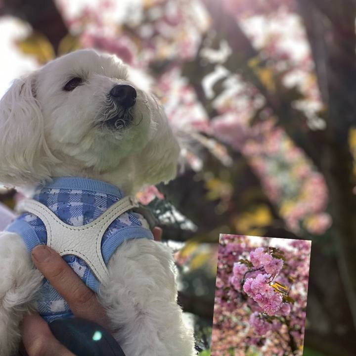 4774f853 da33 47ea 94d2 200fd95c6678 1649849824858