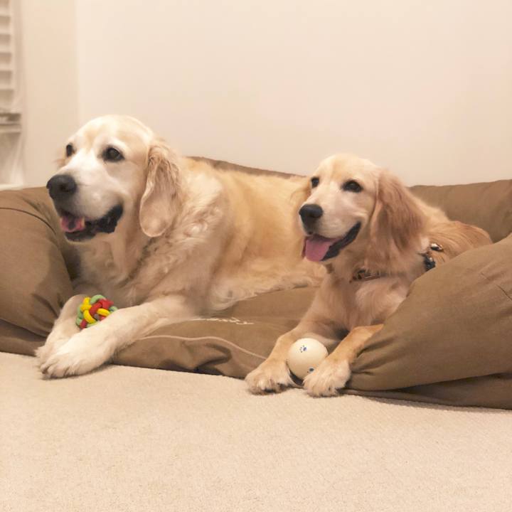 47750660 2e36 46bc acb6 5952eb654419 1566132650996