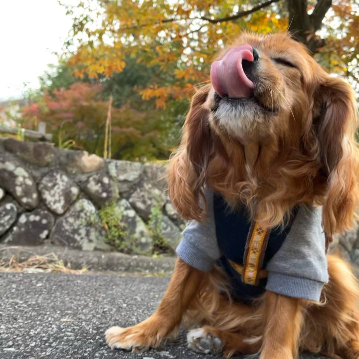 477525fd de7a 4843 bec7 241f593f1623 1700706650500