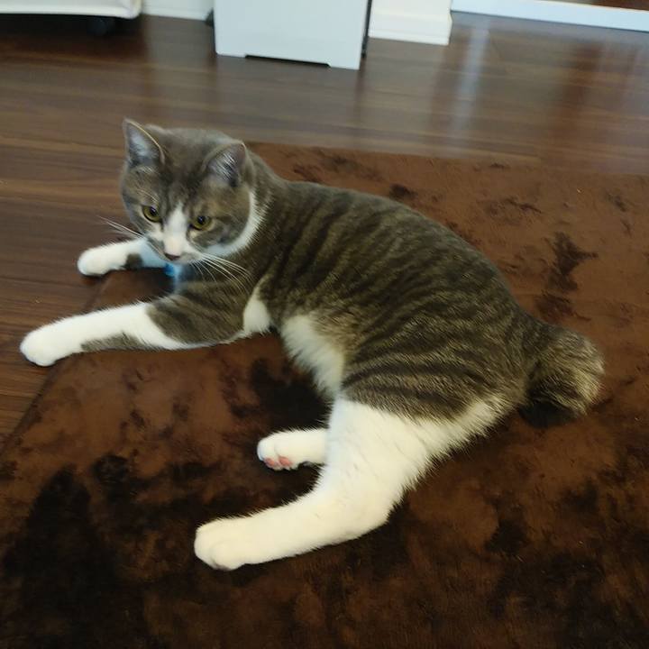 47754240 9f73 464a b057 6255a0e48e02 1583810551031