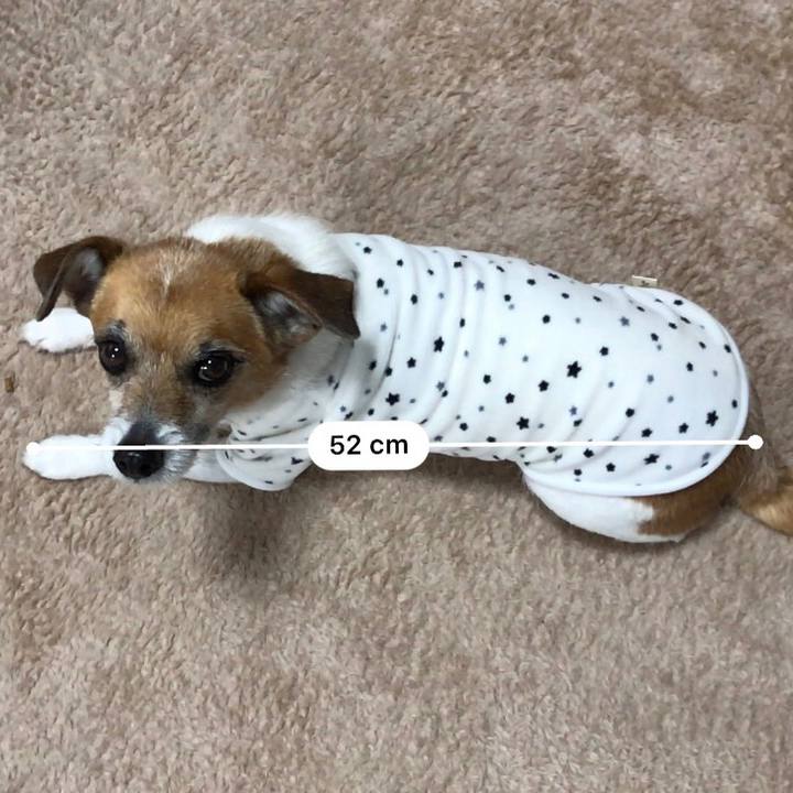 47755cef bd3e 4ced b829 1e8502ba5a0a 1549955535320