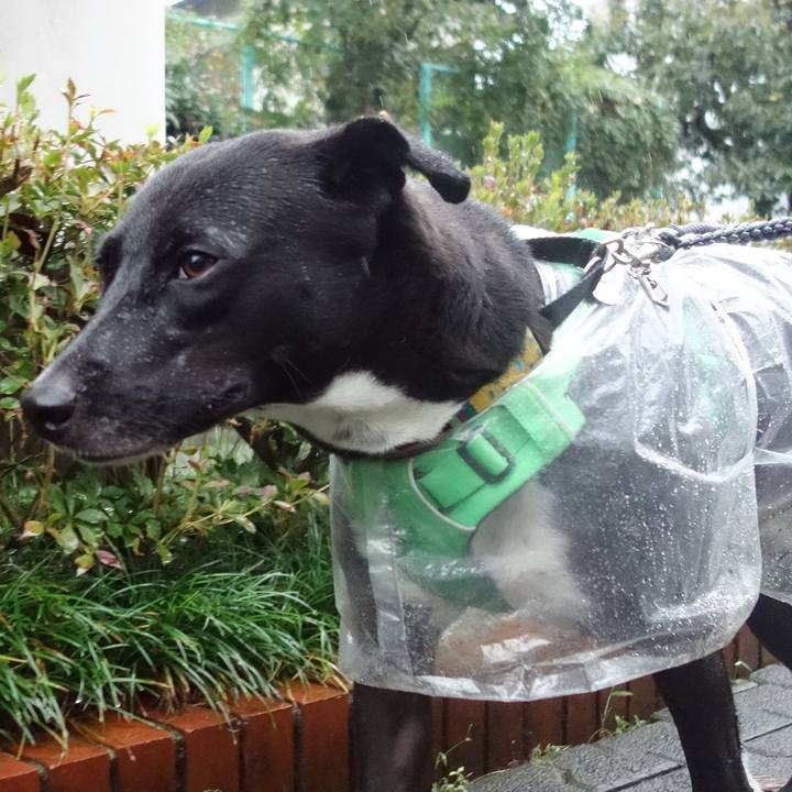 47755e36 771f 4755 9897 1042c9aa6897 1602203339885