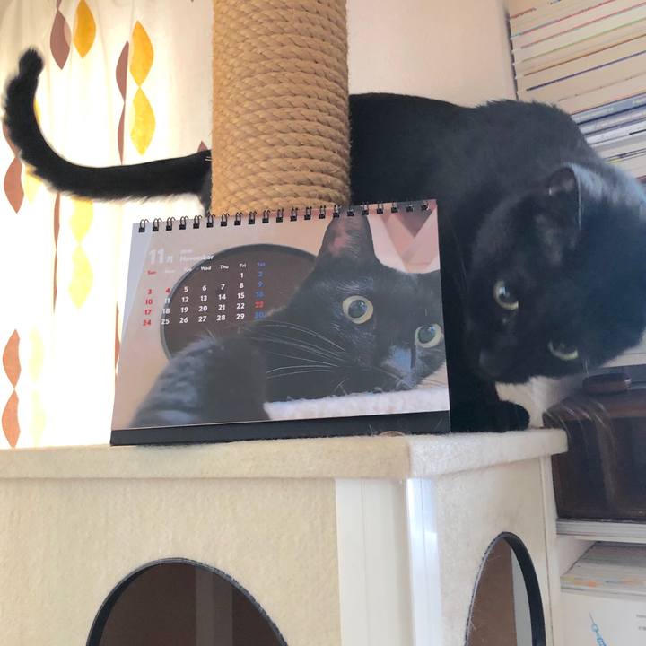 47756f43 ec2f 478a 8e06 f974f059a88a 1572760484967