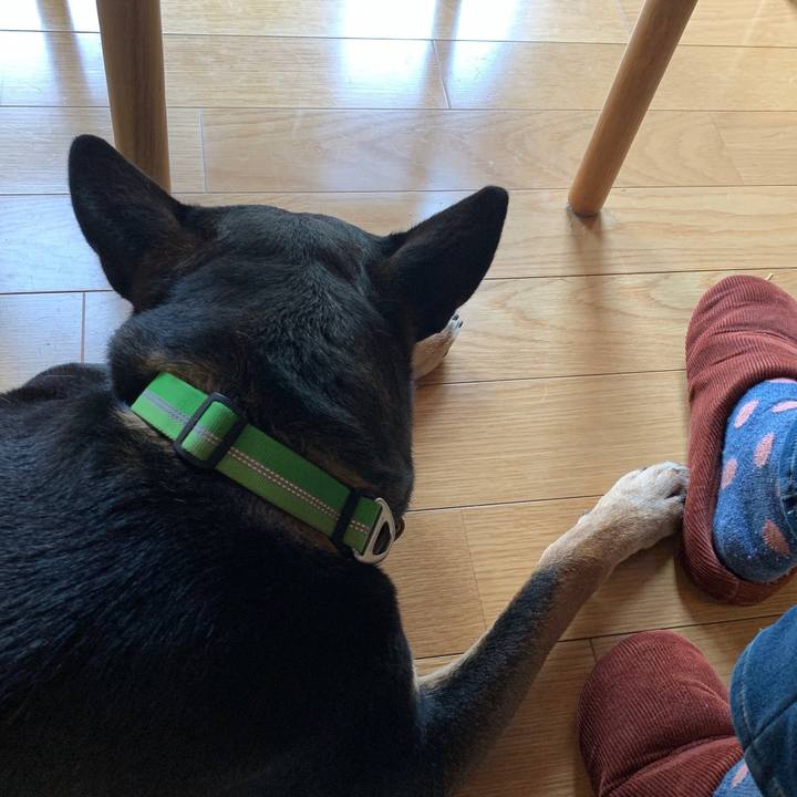 47757431 a7e0 4258 bda4 939dbb57d497 1582352322009