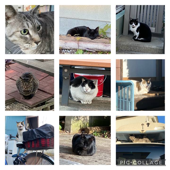 477583ec 8a91 4e65 bbbc e7ec0c4c21dc 1674683149130