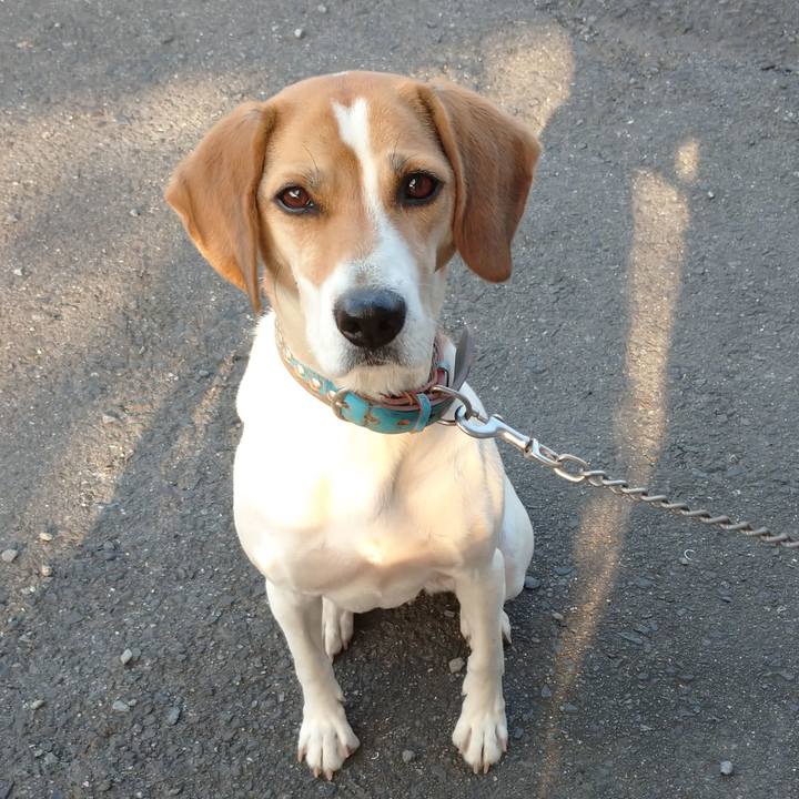 4775a1fa d359 4894 8307 eabda375d797 1605508942027