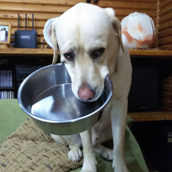 4775ae43 8f7d 4961 8756 d18ec1b3af97 1517394564132