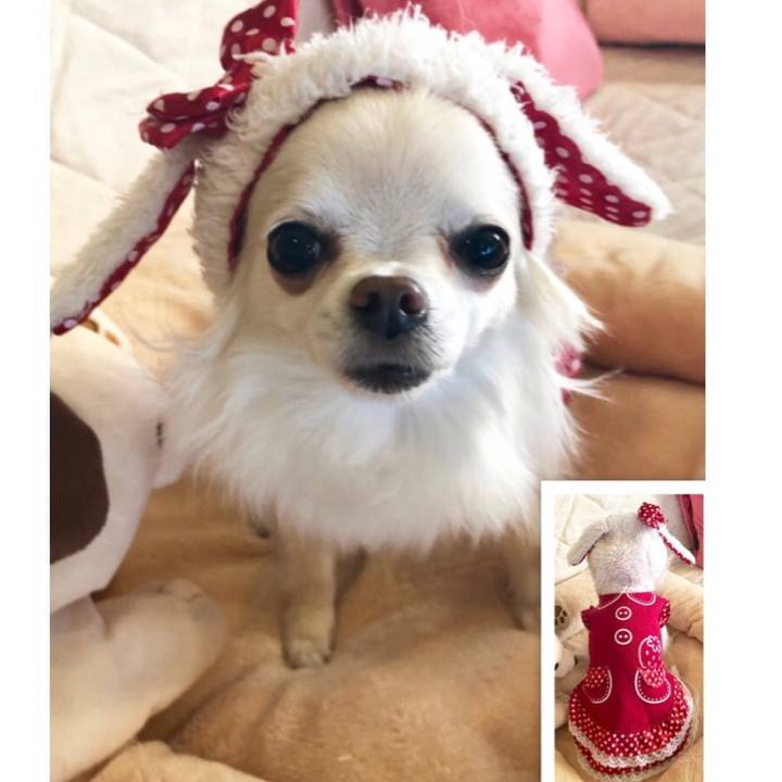 4775db83 e6c8 4f63 a9ee 68abfebaa551 1547164975568